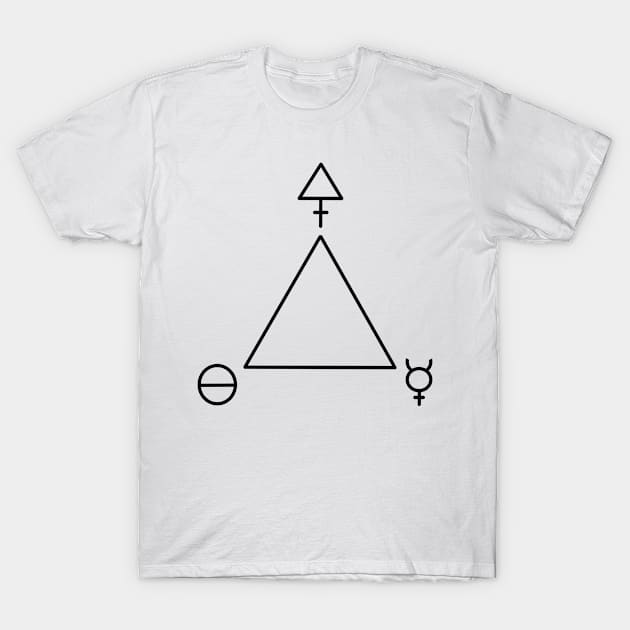 Alchemy T-Shirt by M.T. Stewart